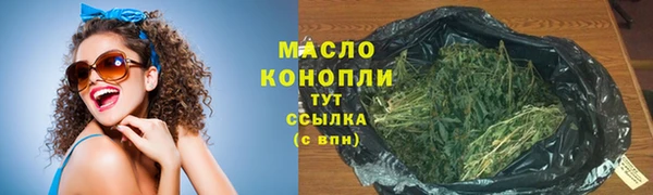 хмурый Арсеньев
