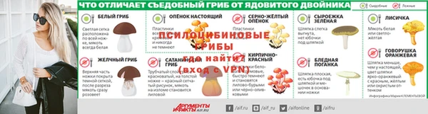 хмурый Арсеньев