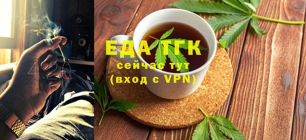 хмурый Арсеньев