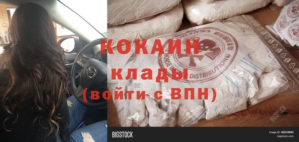 хмурый Арсеньев