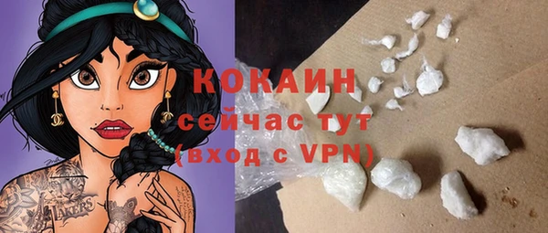 хмурый Арсеньев