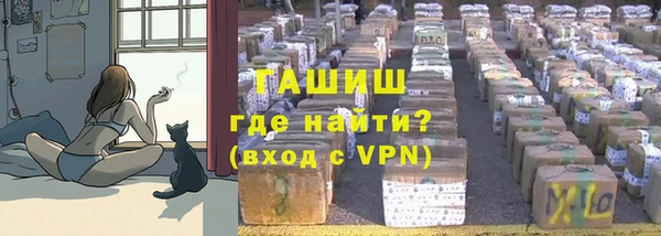 хмурый Арсеньев