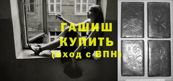 хмурый Арсеньев