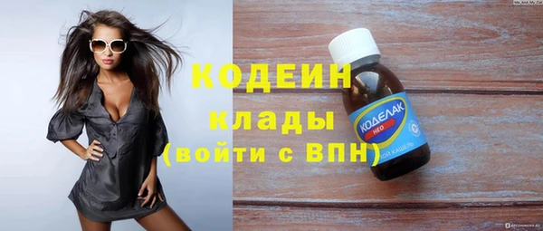 ГАЛЛЮЦИНОГЕННЫЕ ГРИБЫ Аркадак