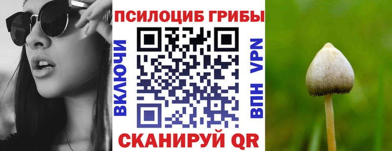 Галлюциногенные грибы MAGIC MUSHROOMS  хочу наркоту  hydra   Суровикино 